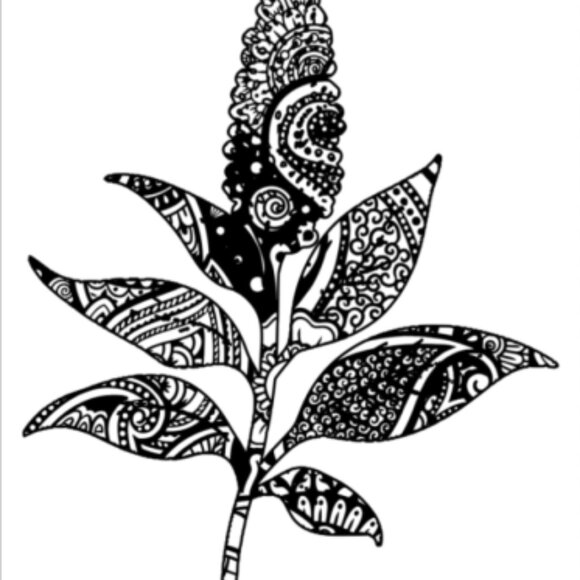 !! GIVEAWAY !! - Picture 3 of 4